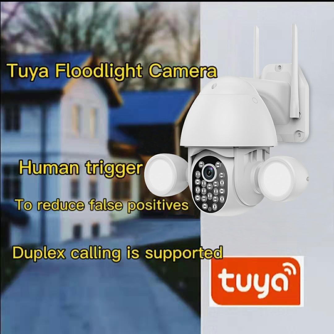 Tuya Smartlife APP Slimme verl - Home Security Flood Lights recensie en prijs